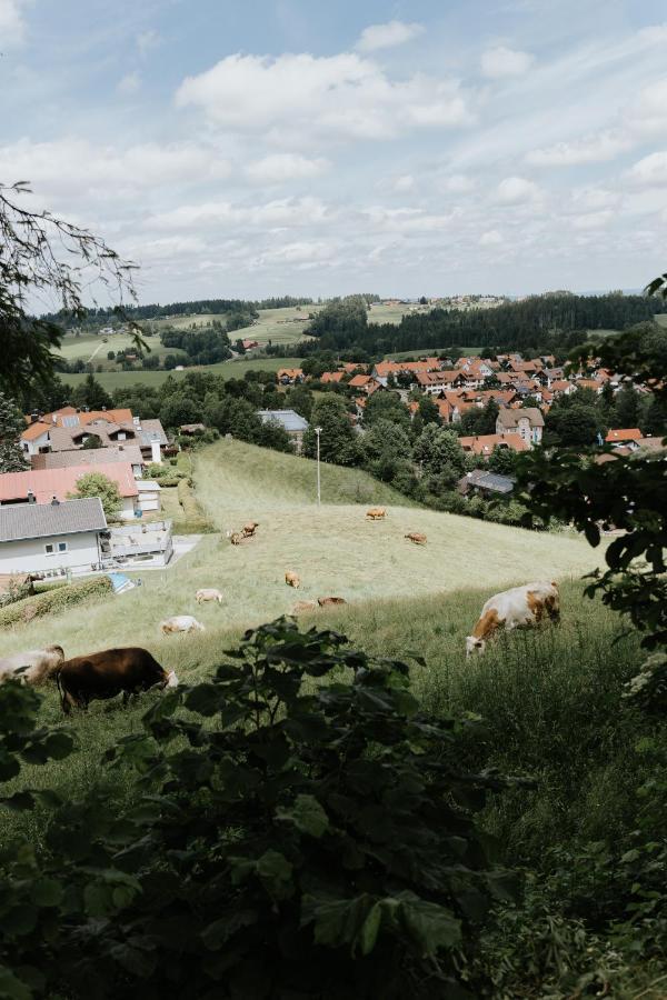 Ferienwohnung Alpenblick I Kamin I Private Sauna Wangen im Allgäu Exterior photo