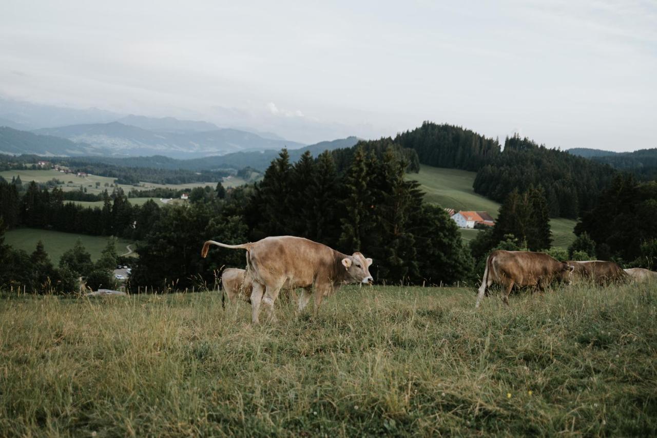 Ferienwohnung Alpenblick I Kamin I Private Sauna Wangen im Allgäu Exterior photo